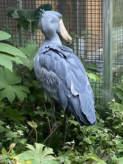 IMG_2351.JPG