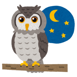 夜とフクロウ.png